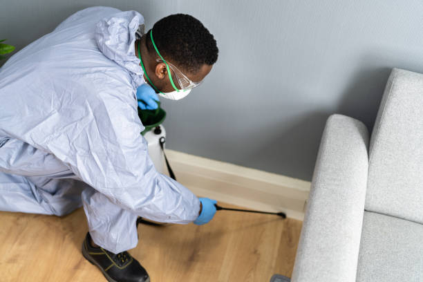 Best Pest Prevention Services  in Monument, CO